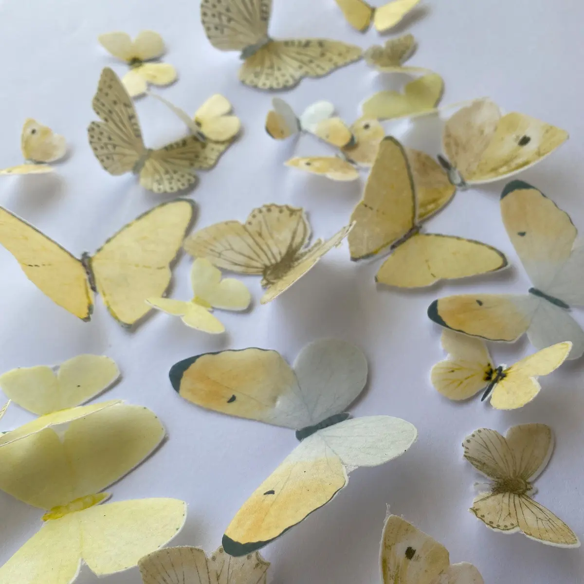 Yellow Pre-Cut Edible Wafer Butterflies 1
