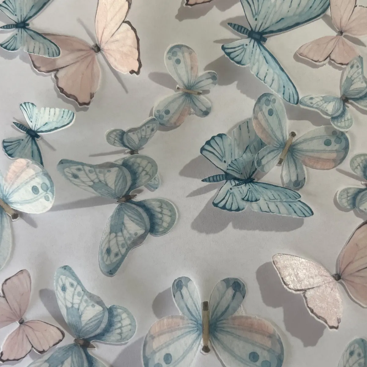 Pink & Blue Pre-Cut Edible Wafer Butterflies 1