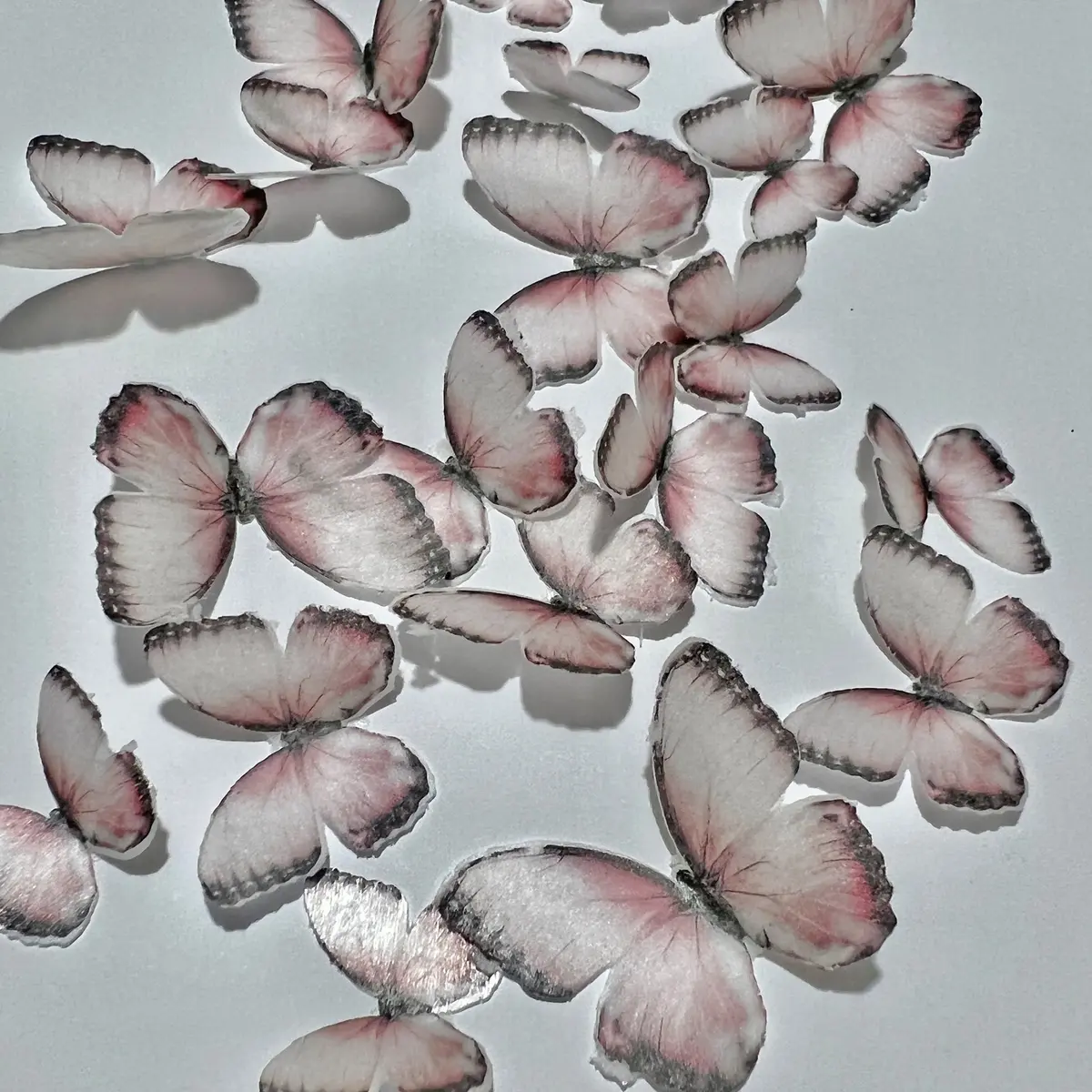 Pink Pre-Cut Edible Wafer Butterflies 1