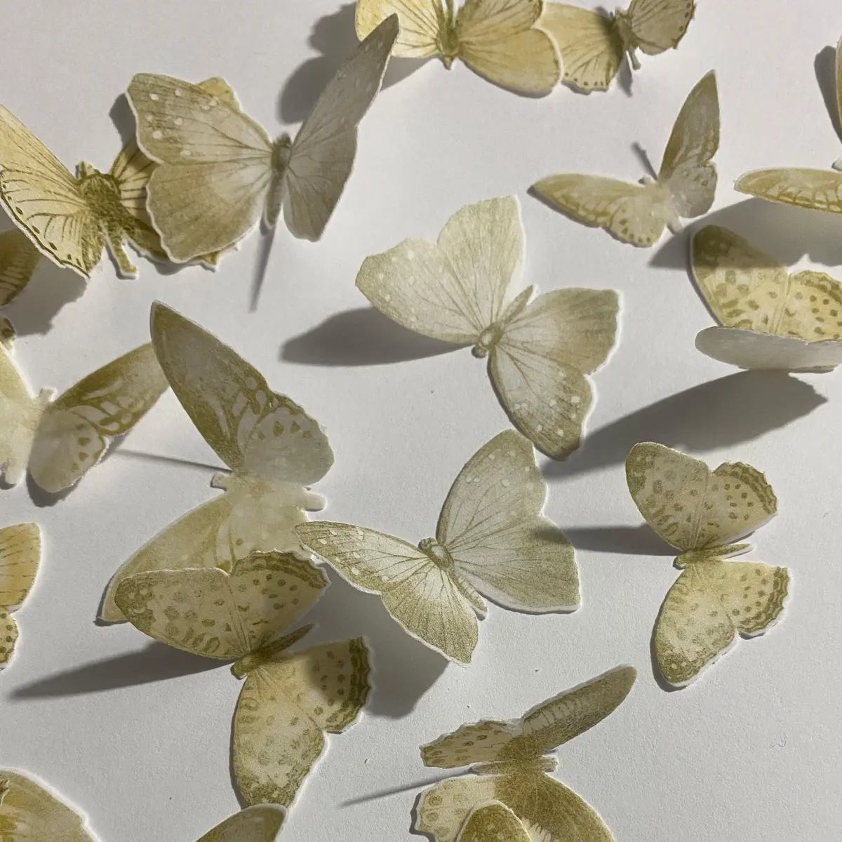 Tan & Gold Pre-Cut Edible Wafer Butterflies 1