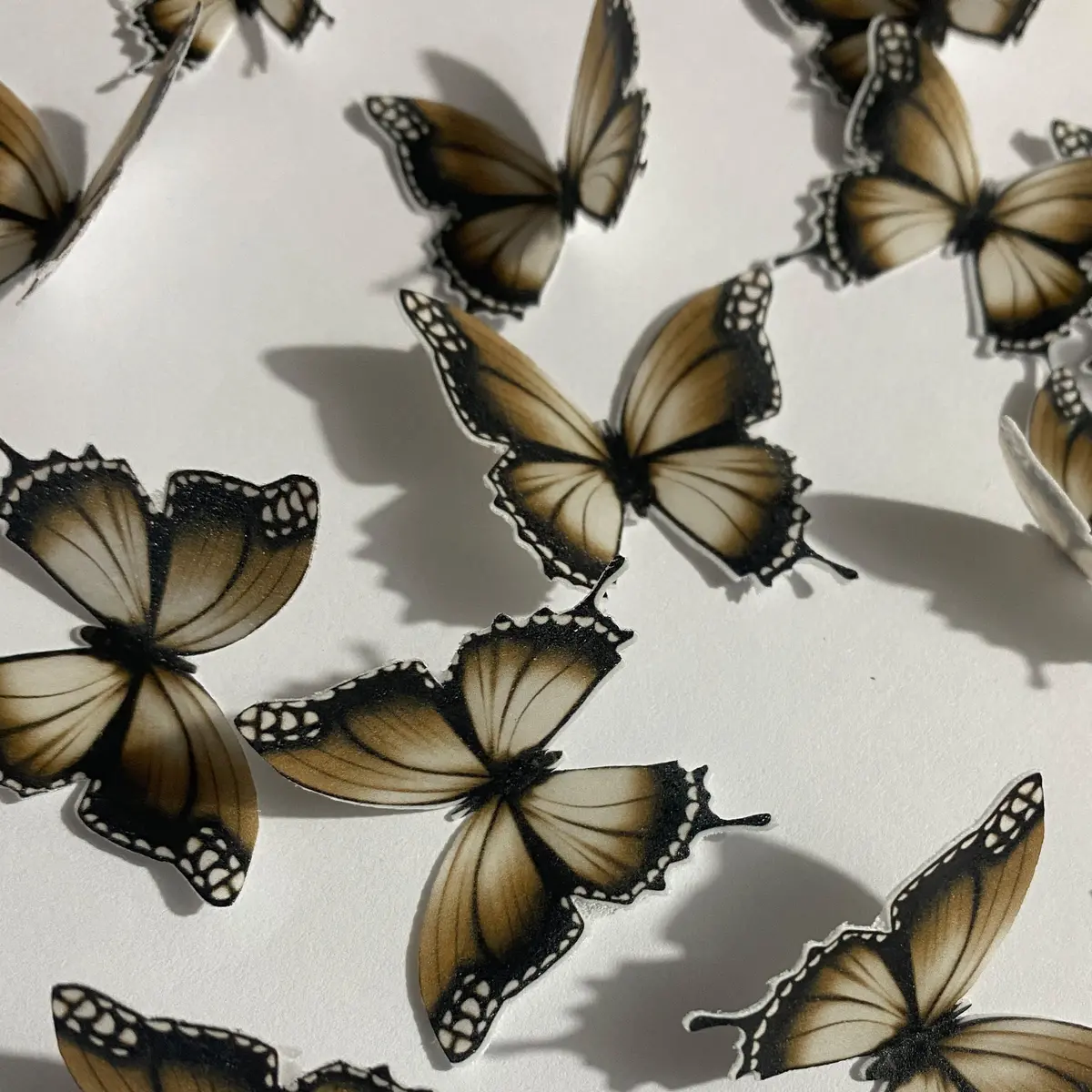 Brown & Black Pre-Cut Edible Wafer Butterflies 1