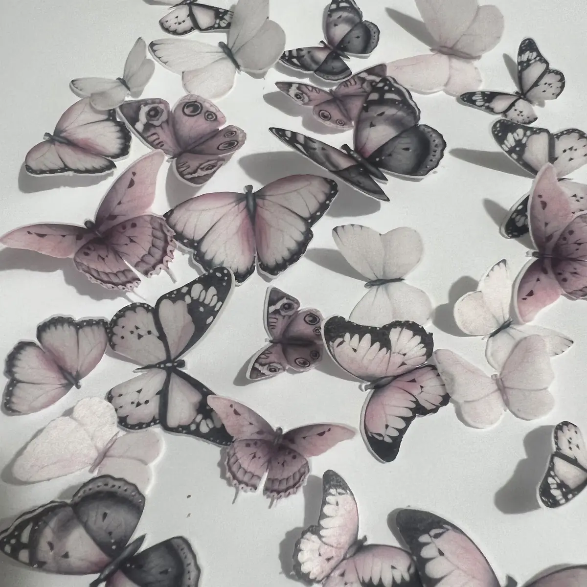 Pink Pre-Cut Edible Wafer Butterflies 1