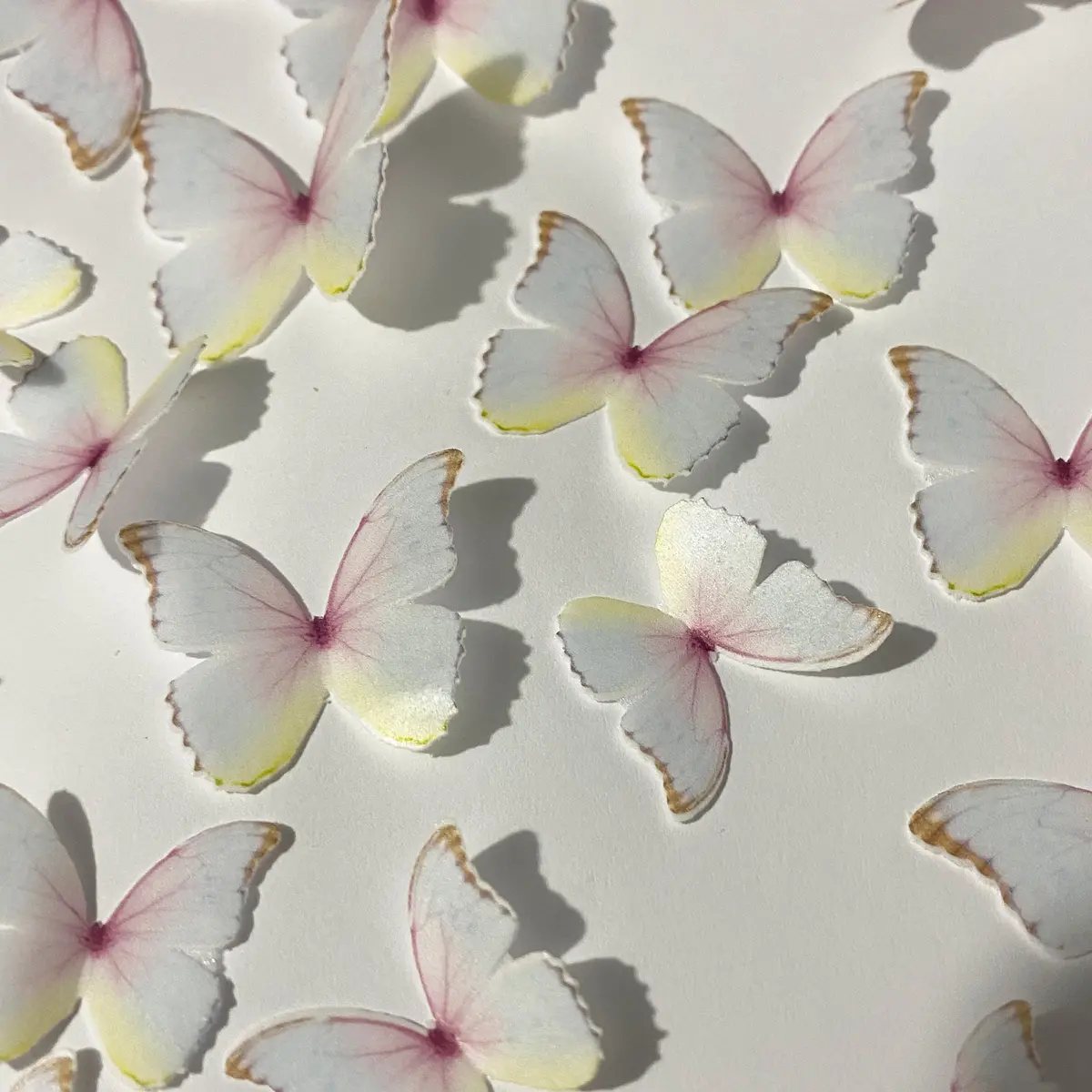 Pink & Yellow Pre-Cut Edible Wafer Butterflies 1