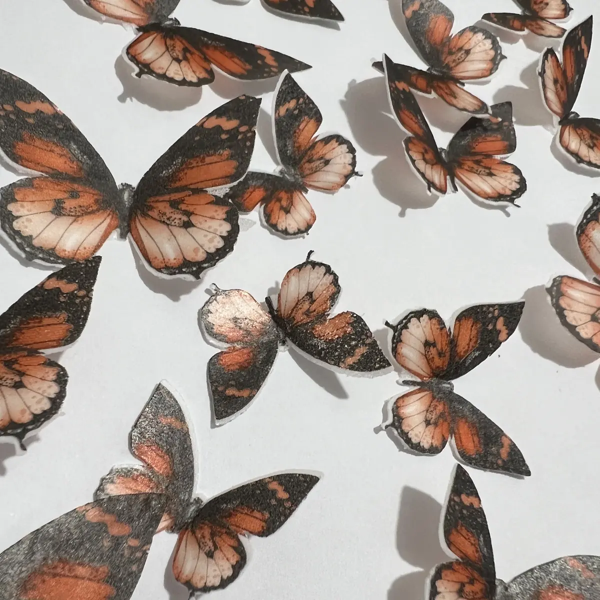 Orange Pre-Cut Edible Wafer Butterflies 1