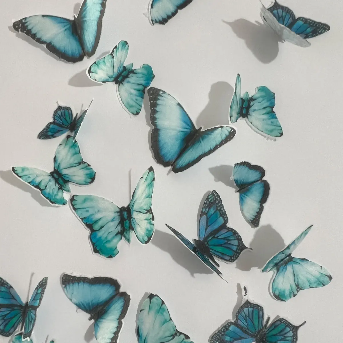 Green & Blue Pre-Cut Edible Wafer Butterflies 1