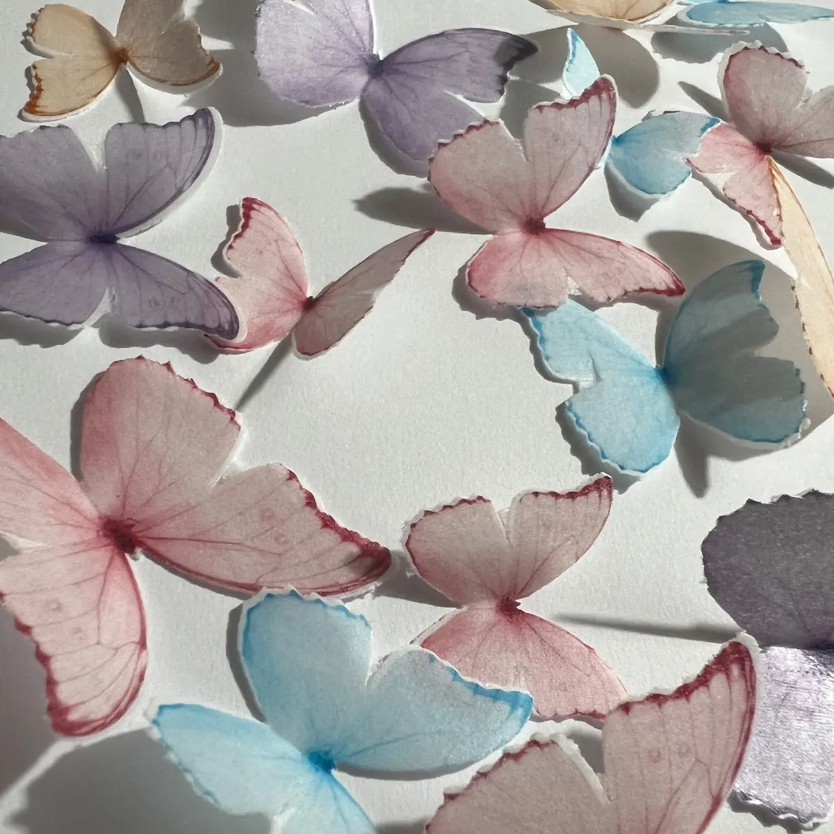 Multicoloured Bright Pre-Cut Edible Wafer Butterflies 1