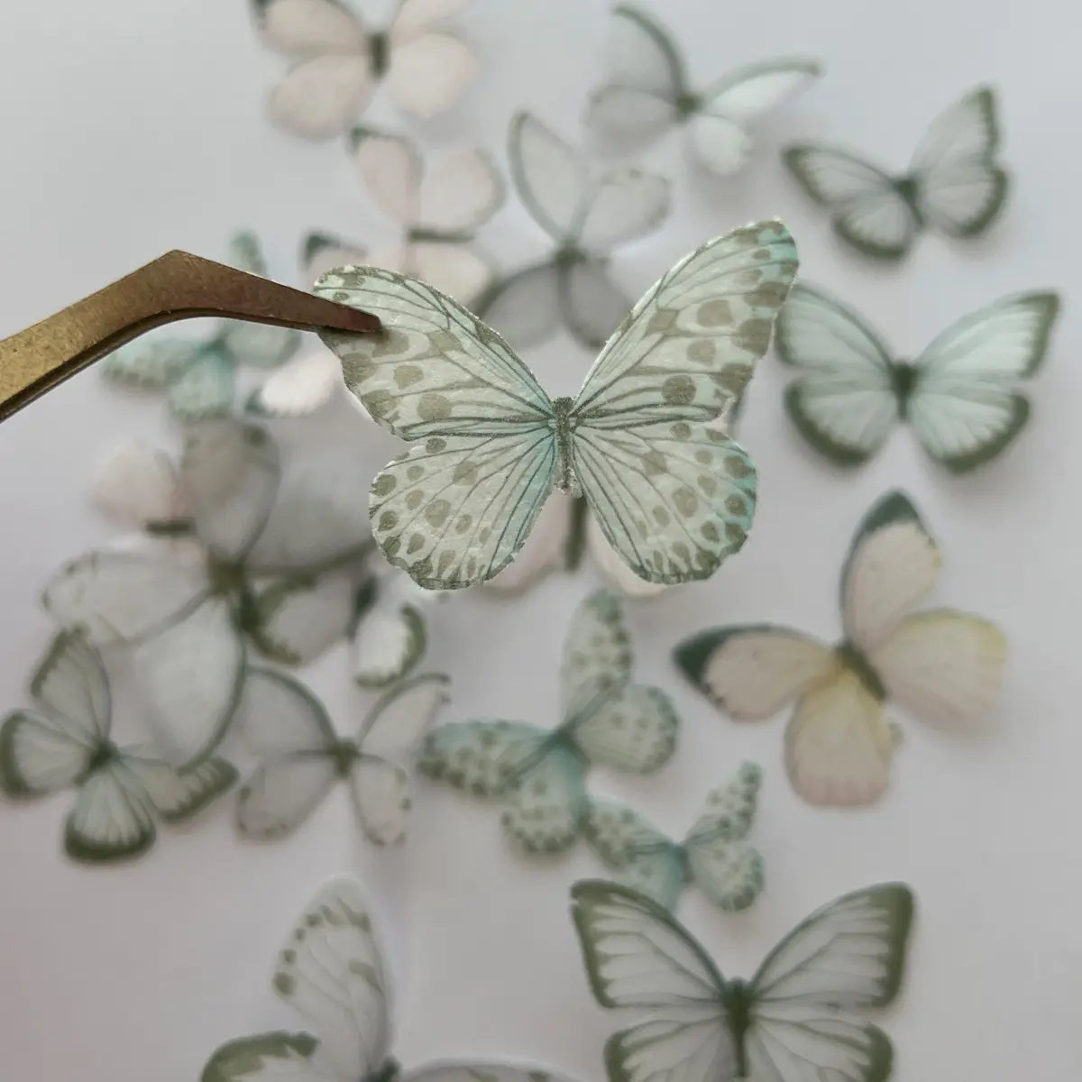 Purple, Green & Pink Pre-Cut Edible Wafer Butterflies 1