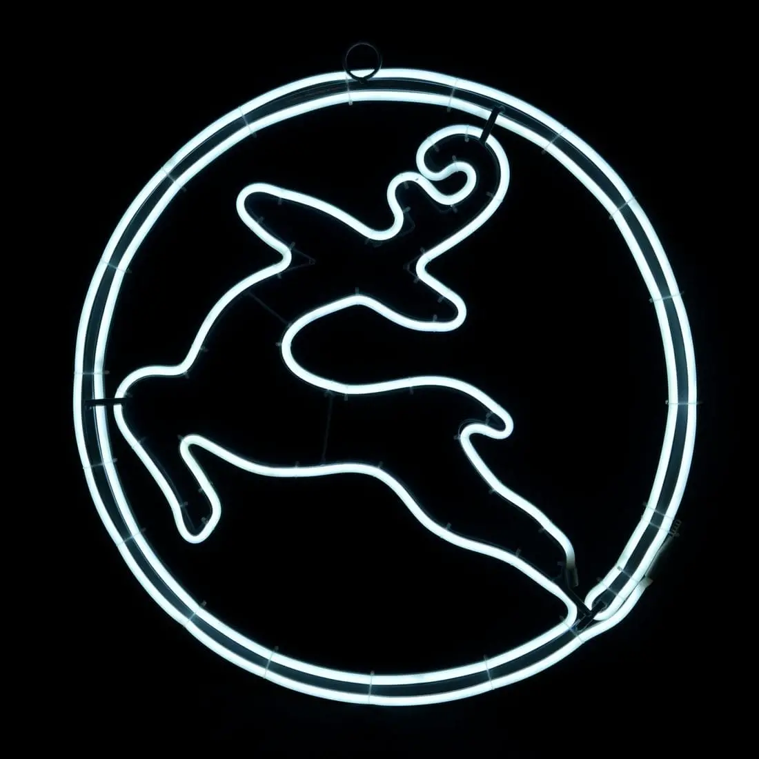 Neon White Led Reindeer In Circle Outdoor Rope Light 60X60cm 1
