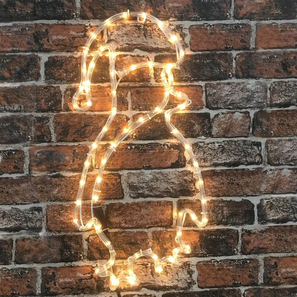 White Penguin Christmas Outdoor Rope Light Static Led 60Cm 1