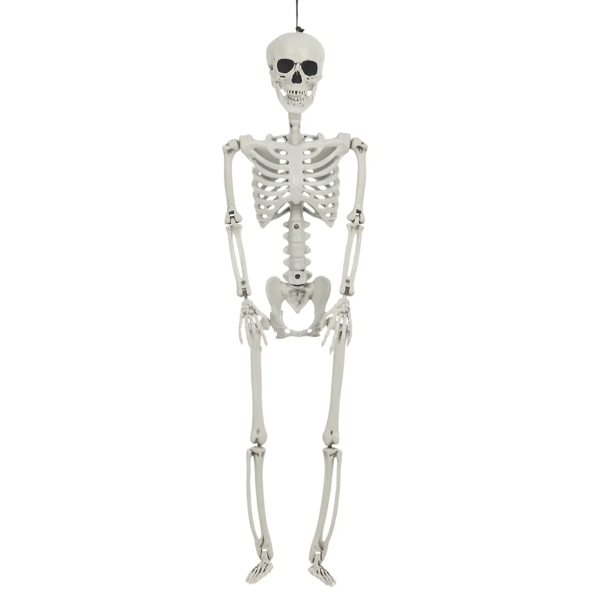 Poseable Jointed Skeleton Halloween Prop Party Decoration 84Cm 1
