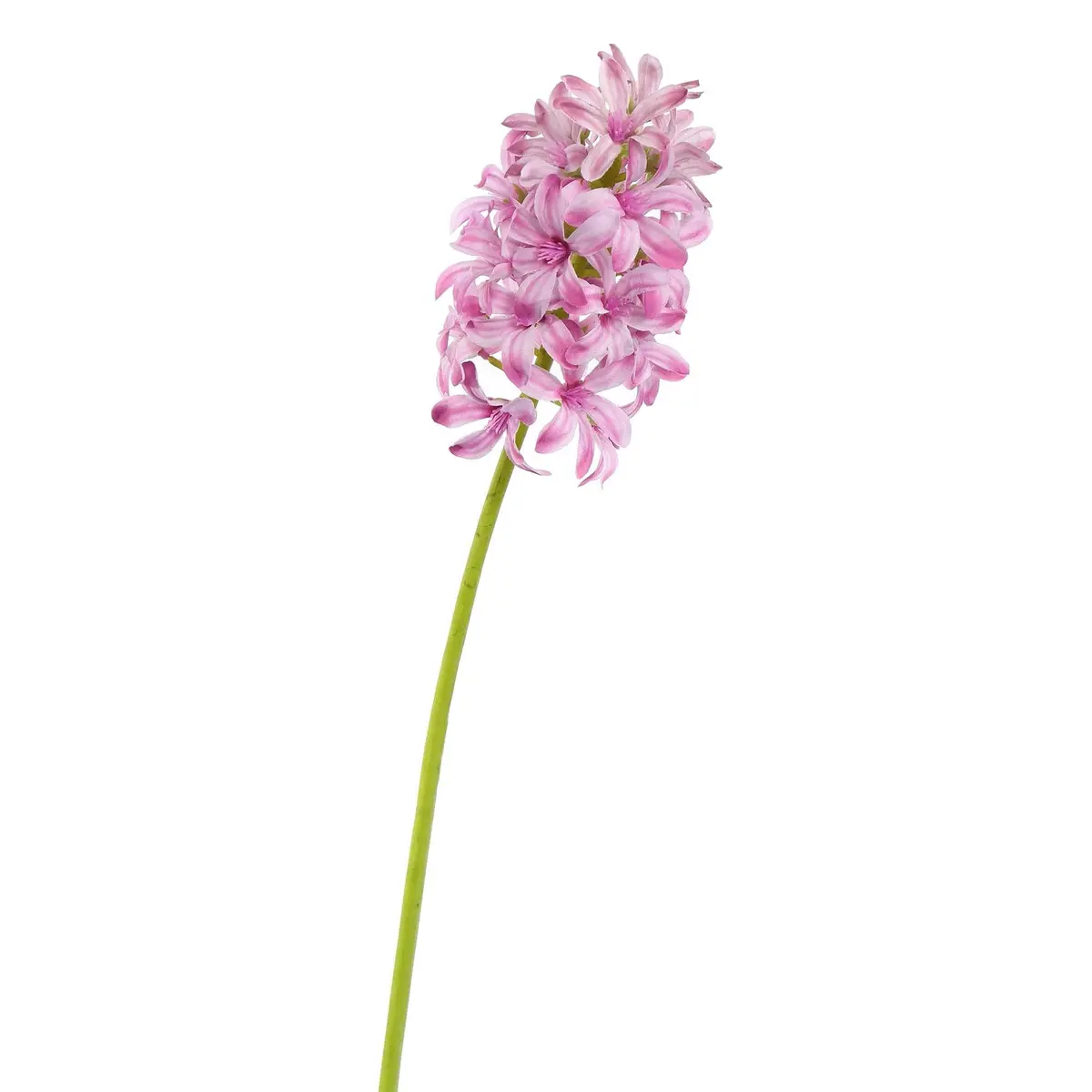 Hyacinth 57Cm Lila 1