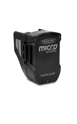 Micro Battery Pak & Charger 1