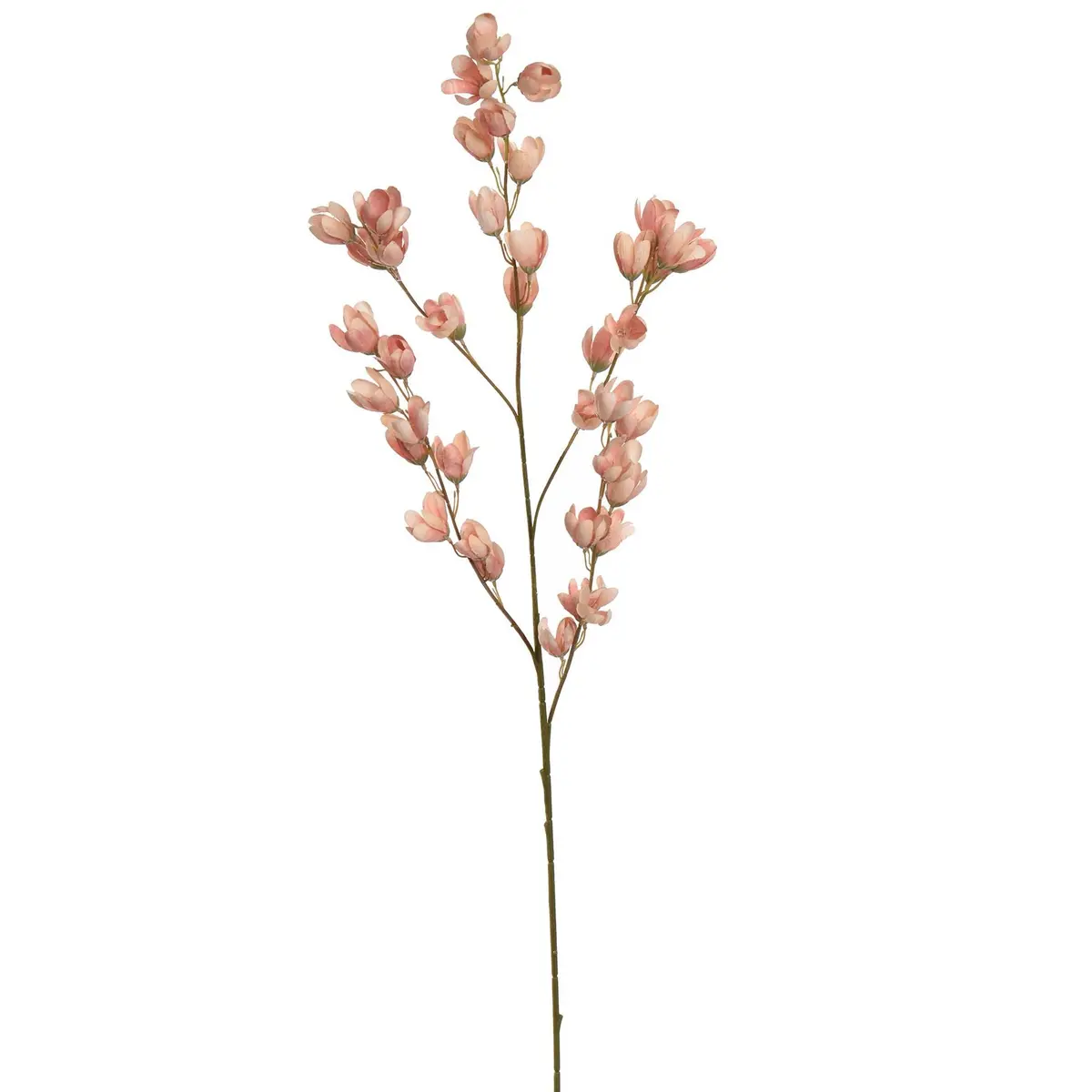 Pistachino Flower 105 Cm Peach 1