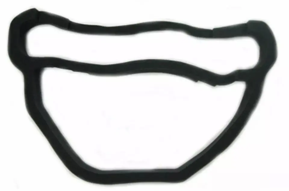 Ram Air Pan Seal, Upper New 69 70 Gto 1