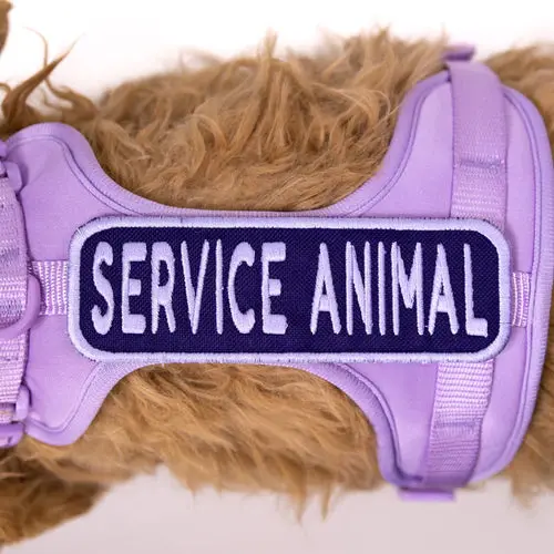 K9 Sport Sack Service Animal 2X6 Patch 1