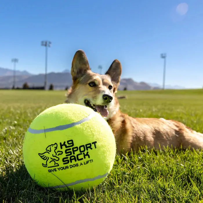 K9 Sport Sack Too Big To Chew Tennis Ball 1
